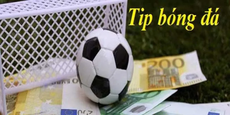 Tổng hợp các tip bóng đá cực chuẩn